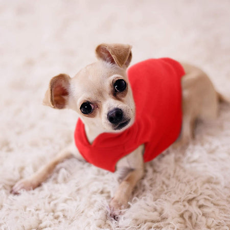 Soft Fleece Small Dog/Cats Vest