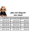 Plus Size Lace Set Chemise Nightgown