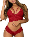 Transparent Lace Sexy Underwear and Bra Set