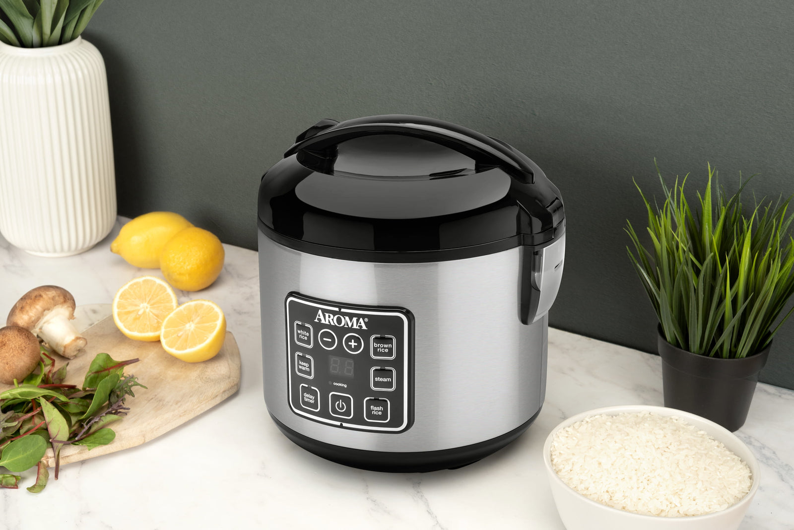 Programmable Rice &amp; Grain Cooker, Steamer Rice cooker