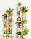 Bamboo 5 / 6  Tier  Plant Stand
