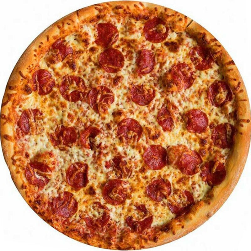 Soft warm flannel tortilla pizza blanket