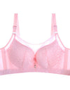 New Crop Top Sexy Bras