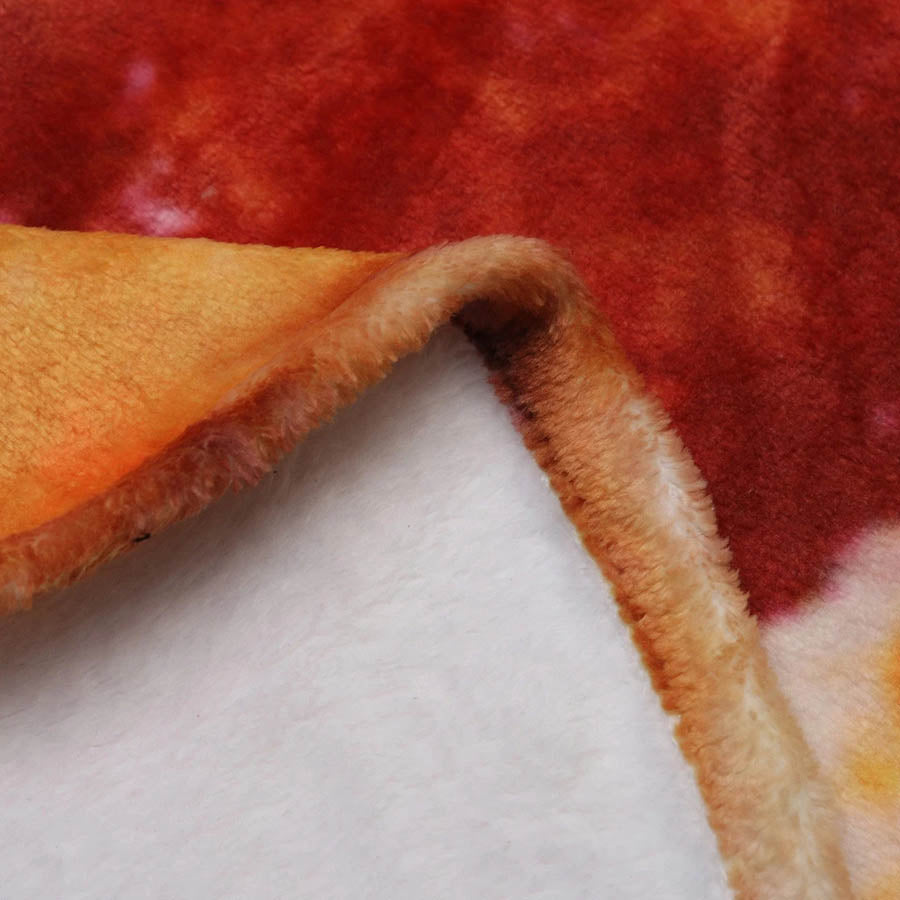 Soft warm flannel tortilla pizza blanket