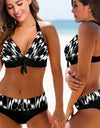 Two-piece Floral Print Bikini Set XS-8XL