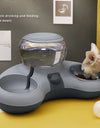 Automatic Dog/Cat Food Bowl Feeder With Water Fountain