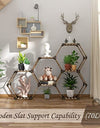 Hexagonal Plant Stand