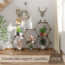 將圖片載入圖庫檢視器 Hexagonal Plant Stand
