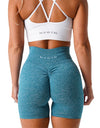 Scrunch Seamless Shorts Spandex Shorts