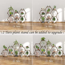 將圖片載入圖庫檢視器 Hexagonal Plant Stand
