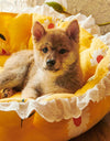 Soft Elastic Semi-enclosed Detachable Dog/Cat Bed