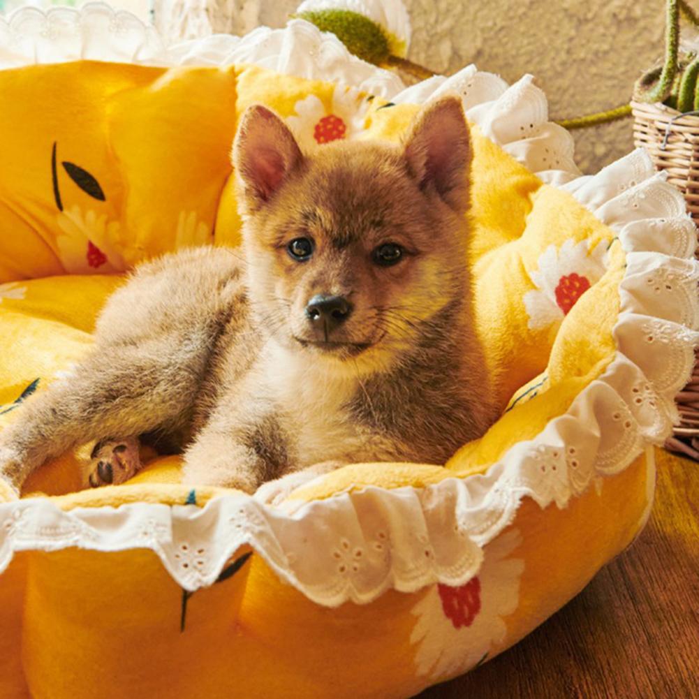 Soft Elastic Semi-enclosed Detachable Dog/Cat Bed