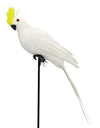 25cm Handmade Simulation Parrot Lawn Figurine