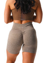 Scrunch Seamless Shorts Spandex Shorts