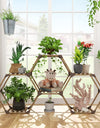 Hexagonal Plant Stand