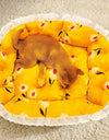 Soft Elastic Semi-enclosed Detachable Dog/Cat Bed