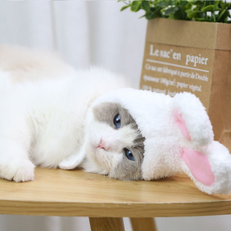 Warm Plush Funny Cat Headgear
