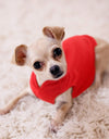 Soft Fleece Small Dog/Cats Vest