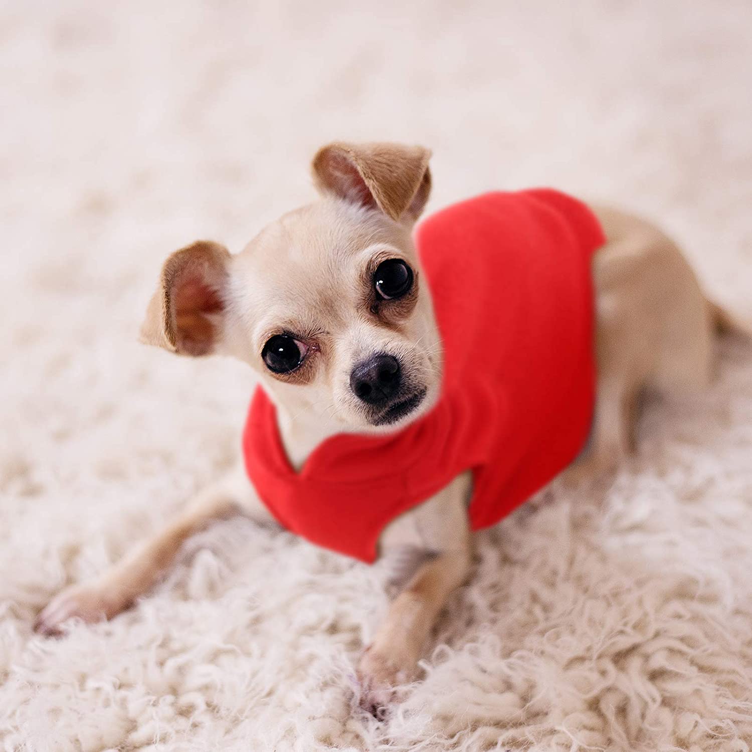 Soft Fleece Small Dog/Cats Vest