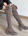 Knee High Suede Chelsea Boots