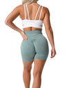 Scrunch Seamless Shorts Spandex Shorts