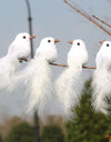 2PC White Simulation Dove Imitation Bird