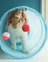 Cat Tunnel Play Tubes With  Collapsible Balls
