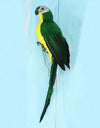 25cm Handmade Simulation Parrot Lawn Figurine