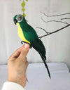 25cm Handmade Simulation Parrot Lawn Figurine
