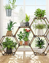 |14:200006151#7 Tiers-Hexagon;200007763:201336106|3256804889414989-7 Tiers-Hexagon-United States