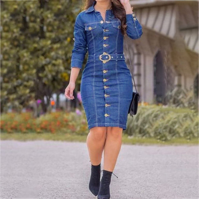 Vintage Long Sleeve Button Up Knee Length Pencil Denim Dress