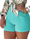 High Waist Solid Color Office Shorts