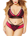 Lace Push Up Bra And Panty Set - Fashion Damsel