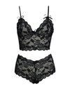 Lace Bra And Briefs Lingerie Set - Fashion Damsel