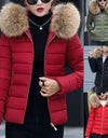 Cotton Padded Warm Winter Coat