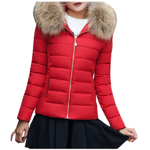 Cotton Padded Warm Winter Coat