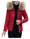 Cotton Padded Warm Winter Coat
