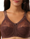 Unlined Lace Bra Full Coverage Size B C D DD E Cup