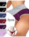 Pack Of 6 Briefs Panties
