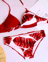 Padded Push-up Bra Bikini Set