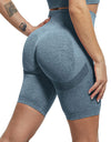 Slim Fit High Waist Yoga Sport Shorts