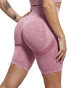 Slim Fit High Waist Yoga Sport Shorts